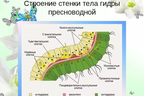 Кракен маркет darknet