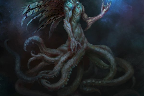 Kraken 12