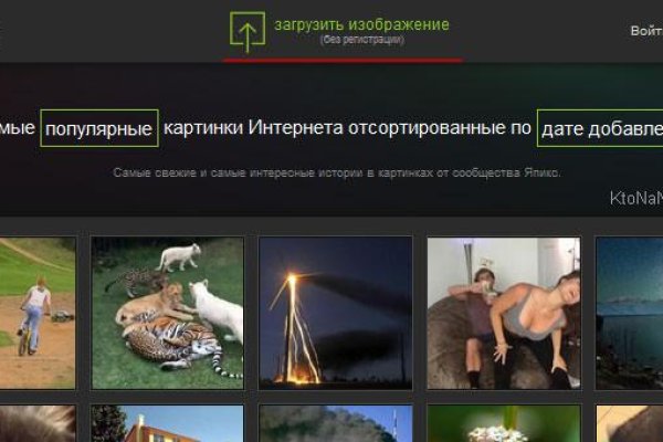 Кракен даркнет официальный