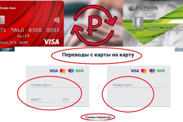 Даркнет вход